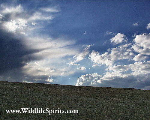 Click Picture to send as an  E-PostCard 50k 500x400
